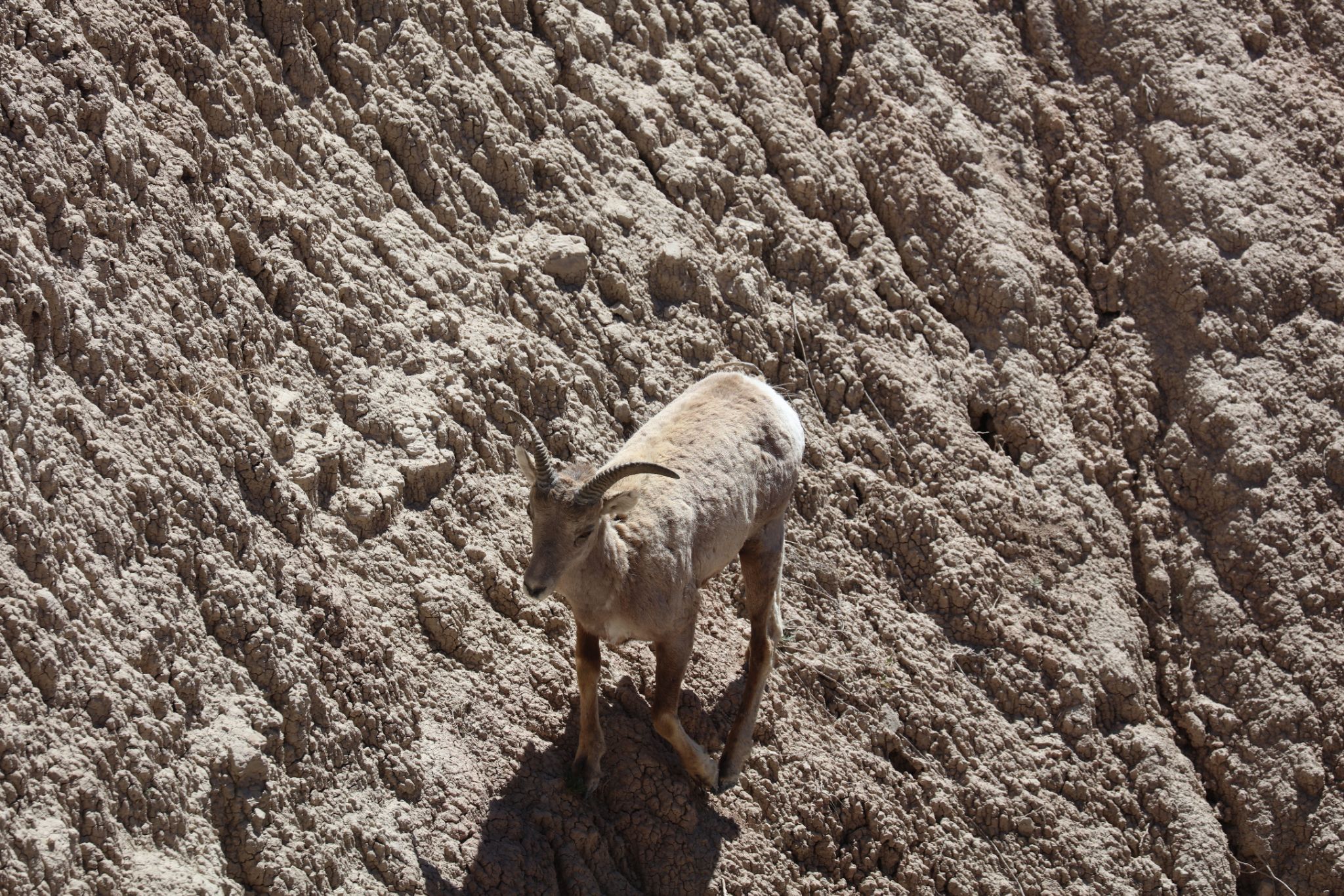 Badlands-Nationalpark